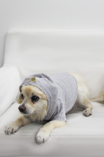 FRENCH TERRY BURNOUT WASH DOGGY HOODIE