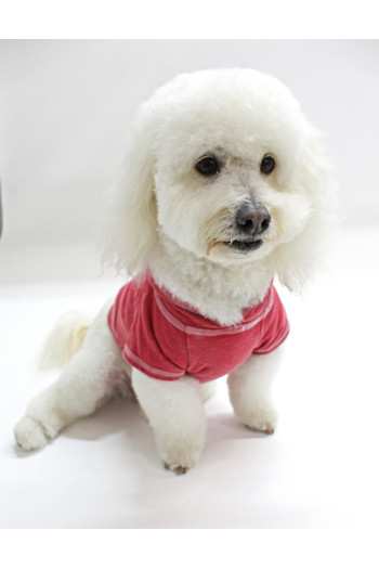FRENCH TERRY BURNOUT WASH DOGGY HOODIE