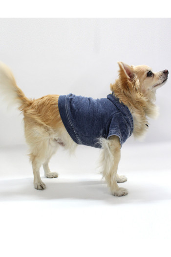 FRENCH TERRY BURNOUT WASH DOGGY HOODIE