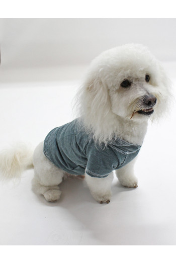 FRENCH TERRY BURNOUT WASH DOGGY HOODIE