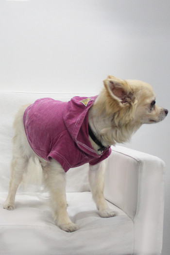FRENCH TERRY BURNOUT WASH DOGGY HOODIE