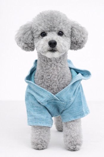 FRENCH TERRY BURNOUT WASH DOGGY HOODIE