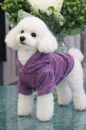 FRENCH TERRY BURNOUT WASH DOGGY HOODIE