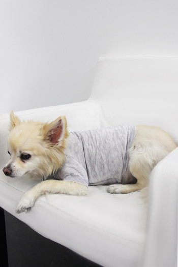 BURNOUT JERSEY DOGGY TEE