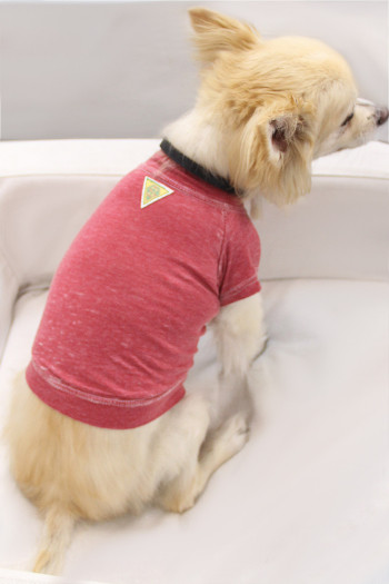 BURNOUT JERSEY DOGGY TEE