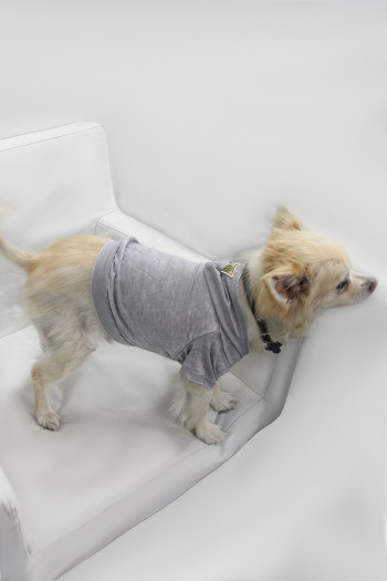 BURNOUT WASH JERSEY DOGGY HOODIE