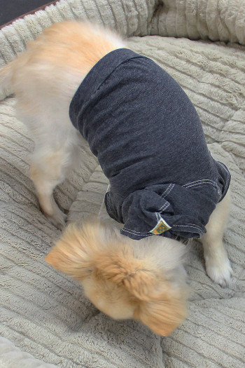 BURNOUT WASH JERSEY DOGGY HOODIE