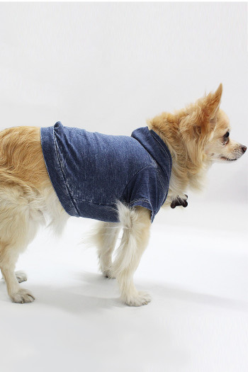 BURNOUT WASH JERSEY DOGGY HOODIE