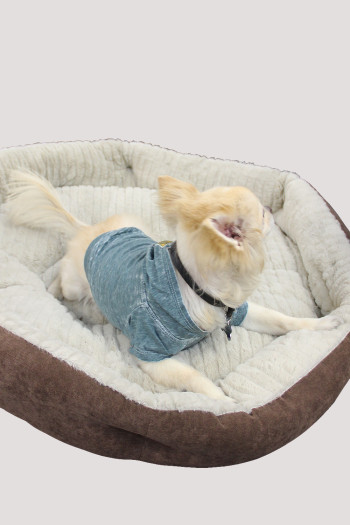 BURNOUT WASH JERSEY DOGGY HOODIE