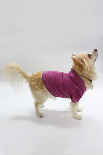 BURNOUT WASH JERSEY DOGGY HOODIE