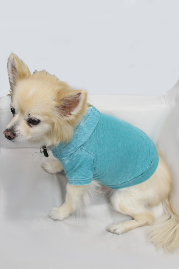 BURNOUT WASH JERSEY DOGGY HOODIE
