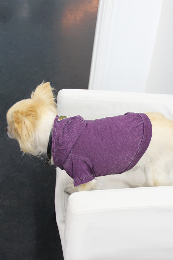 BURNOUT WASH JERSEY DOGGY HOODIE